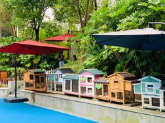 -上海崇明金茂凯悦酒店