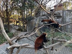 -常州淹城野生动物世界