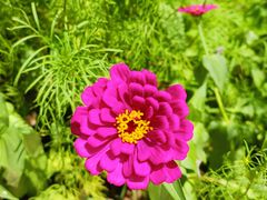 -云峰山自然风景区