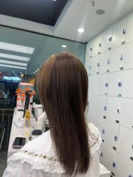 -YESIDO椰岛造型