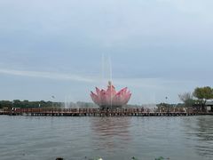 -白洋淀景区