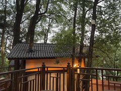 -巴倒烫陆派火锅山庄(南山总店)
