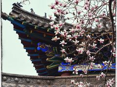 -碑林公园