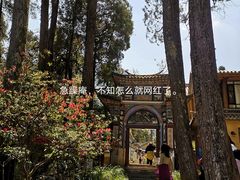 -寂照庵