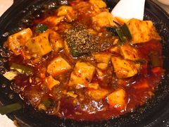 -陈麻婆豆腐总店