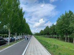-哈尔滨大剧院