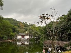 -深圳国际园林花卉博览园