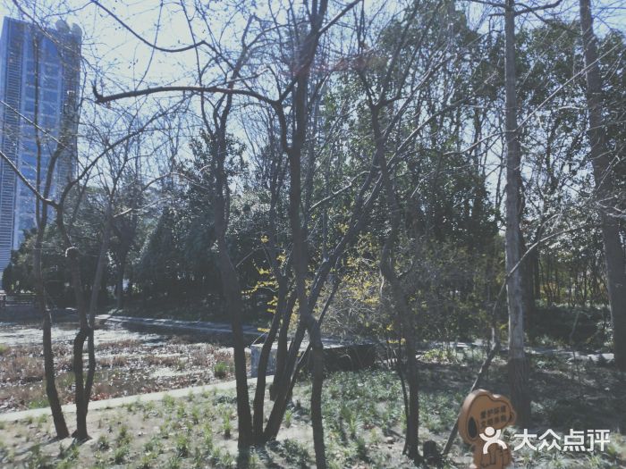 郑东新区湿地公园图片