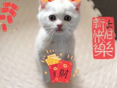 -金湖德庄精品火锅