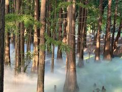 -东湖落雁景区