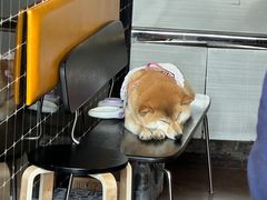 -HANA COFFEE(长寿路店)