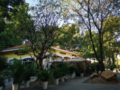 -火车头法国西餐厅