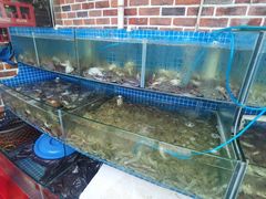 水产区-蟹谢蒸鲜自助餐厅