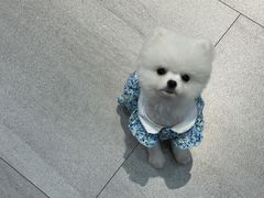 -小菜园新徽菜(常州武进吾悦店)