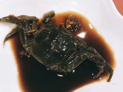 -红灯笼龙凤饭店(宁波老字号店)