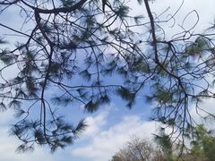 -黄陂区野村谷景区