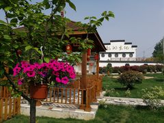 -龙湖东院农庄(乡间小路店)