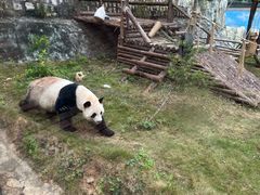 -泉州海丝野生动物世界