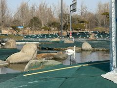 -罗红摄影艺术馆