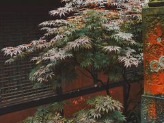 -峨眉山报国寺