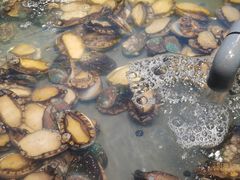 -海天盛宴潮汕蒸汽海鲜高端自助形象店