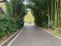 -苏州河梦清园环保主题公园