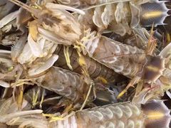 -浪琴湾尾角仔海鲜坊