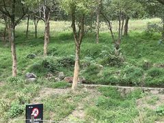 -杭州野生动物世界