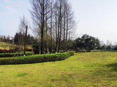 -铁山坪森林公园