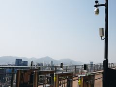 -板樟山森林公园