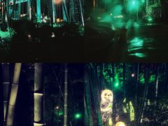 -天目湖御水温泉·度假酒店