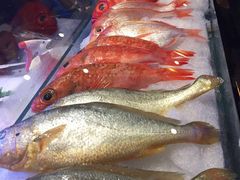 -月下料理(楷林IFC店)