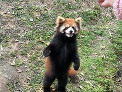 -宁波野生动物园