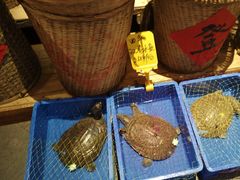 -帝一铭家宴(板塘店)