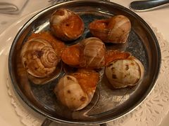-金蜗牛