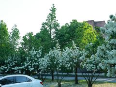 -浙江大学(海宁国际校区)