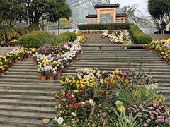 -南山植物园