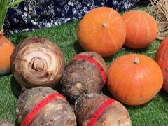 -老阿爸江浙土菜(奥体中心店)