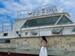 -汕尾风车岛