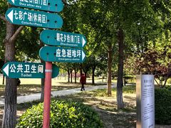 -太阳宫公园