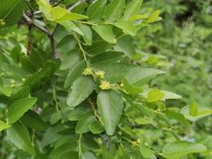 -青州市云门山风景区
