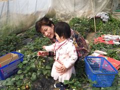 -小鱼草莓采摘园农家乐·小鱼餐厅