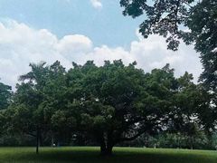 -东莞植物园