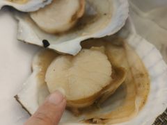 -澜悦港海鲜体验主题餐厅
