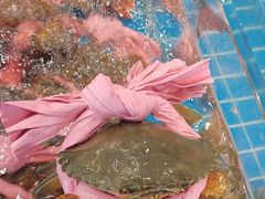 -新丁香海鲜酒店(银海商贸城店)