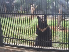 -广东茂名森林公园