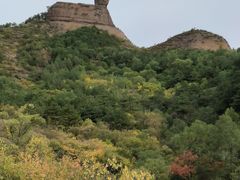 -磬锤峰森林公园