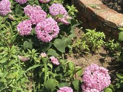 -小仙居·农家宴烤羊· 农庄
