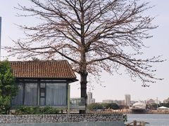 -喜洲吧·江畔老船厂·庭院餐厅(喜临院店)