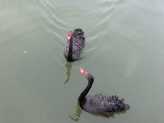 -芭东小镇温泉